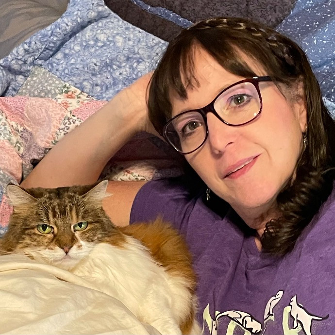 Noco Cat Nanny