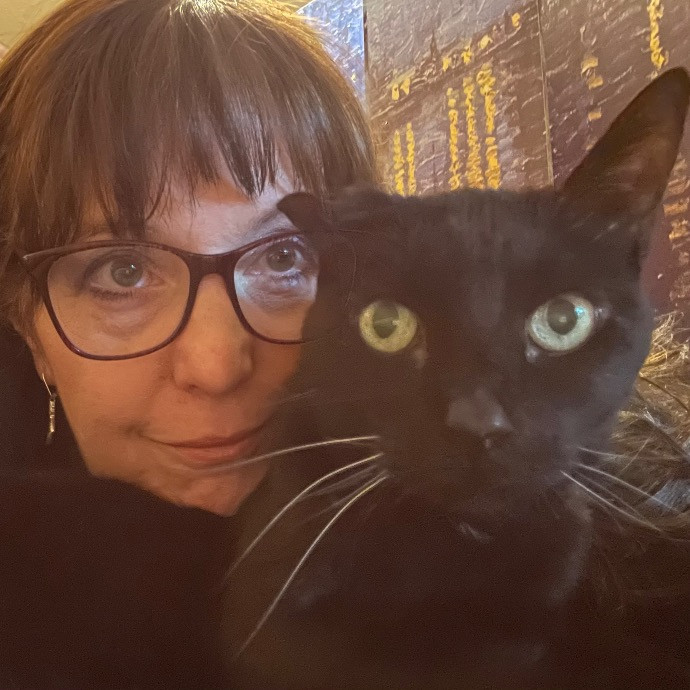 Noco Cat Nanny
