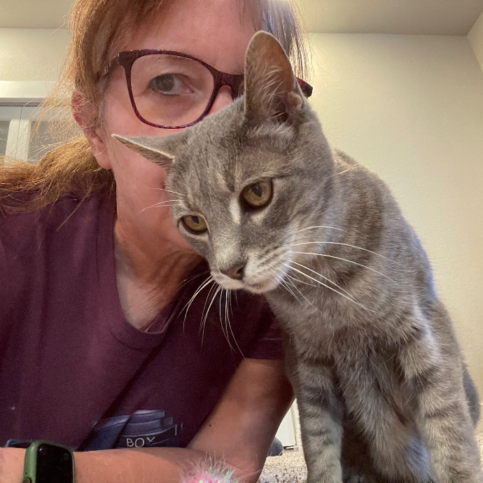 Noco Cat Nanny