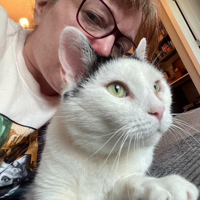 Noco Cat Nanny