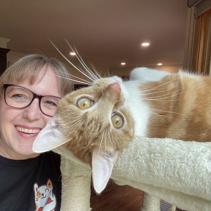 Noco Cat Nanny