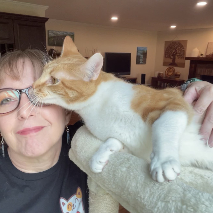 Noco Cat Nanny