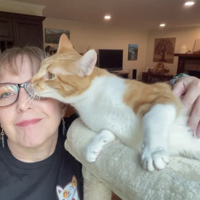 Noco Cat Nanny