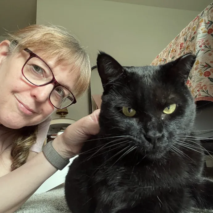 Noco Cat Nanny