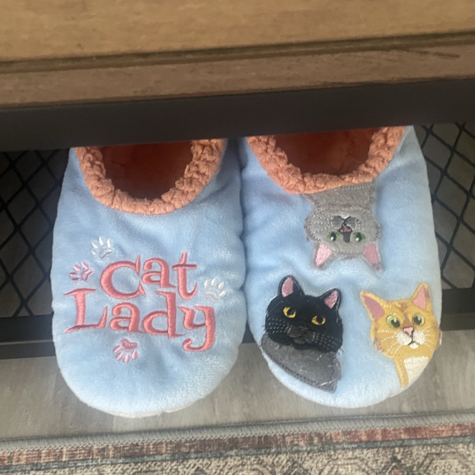 Noco Cat Nanny