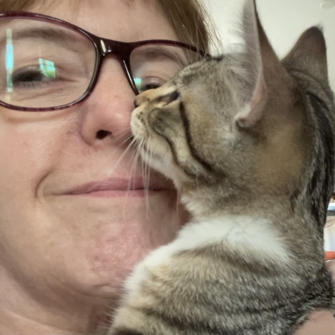 Noco Cat Nanny