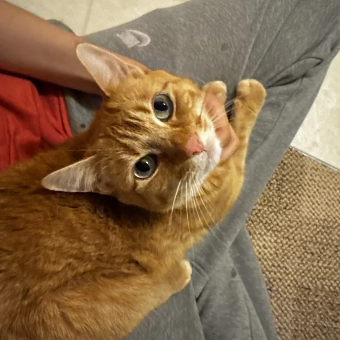 Ella F.