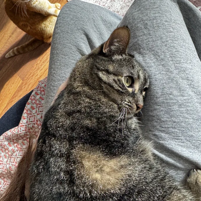 Ella F.