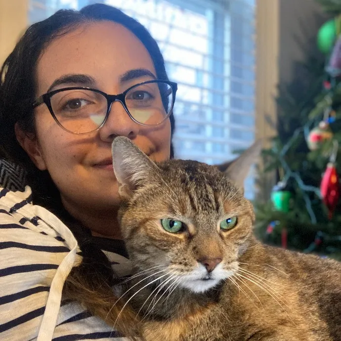 Everyday Is Caturday With Jo photo 4