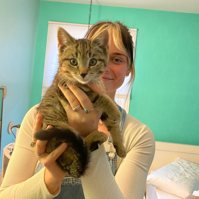 Soph's Purr-Fect Petsitting