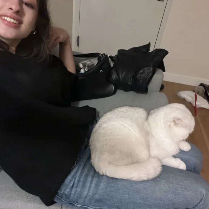 Loving And Reliable Cat Sitter