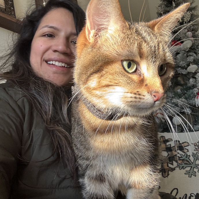 30 Plus Years Of Loving Care With Cats