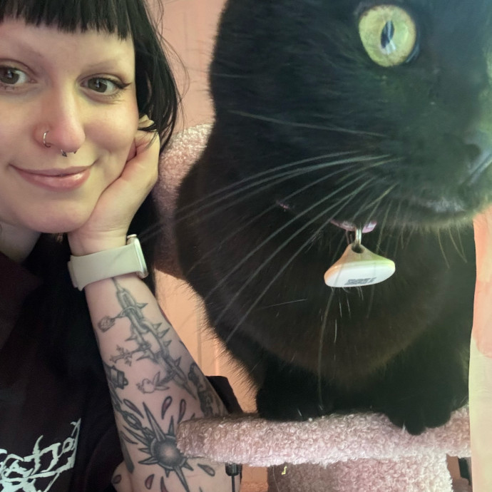 Kiki's Catsitting Service