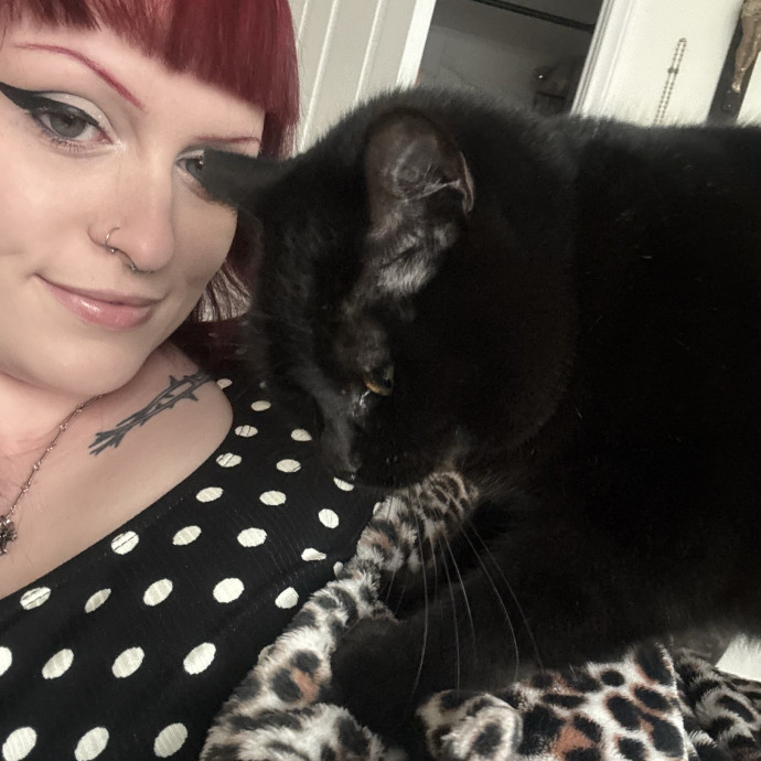 Kiki's Catsitting Service photo 2