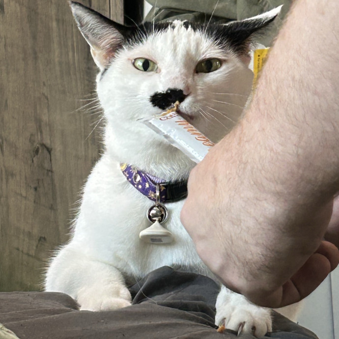 Puuuurfect Care