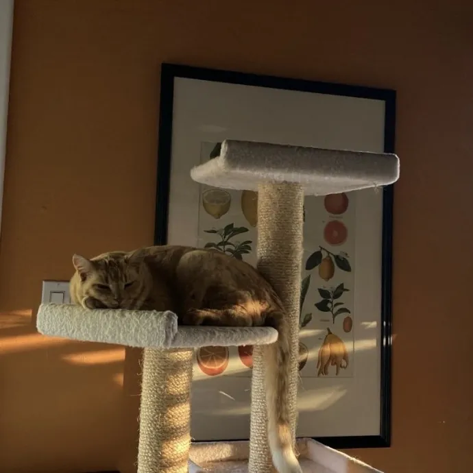 Traveling And Need A Long-Term Sitter