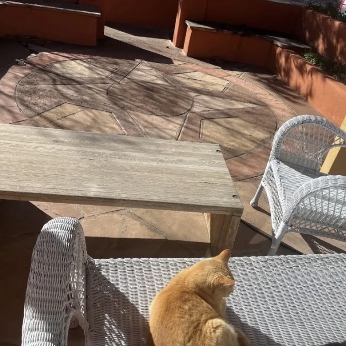 Traveling And Need A Long-Term Sitter