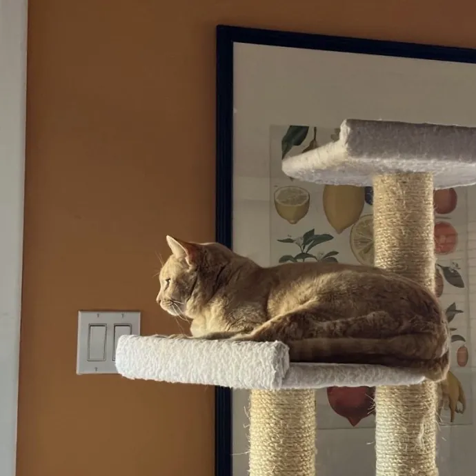 Traveling And Need A Long-Term Sitter