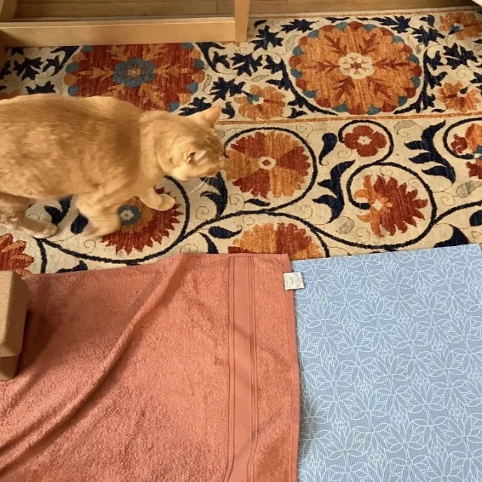 Traveling And Need A Long-Term Sitter