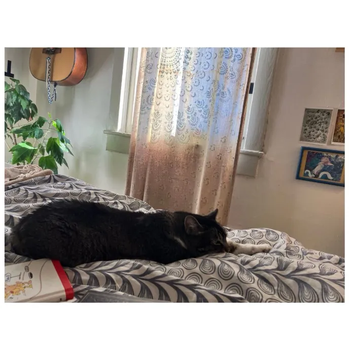 Traveling And Need A Long-Term Sitter