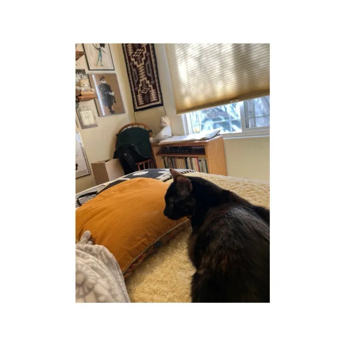 Traveling And Need A Long-Term Sitter
