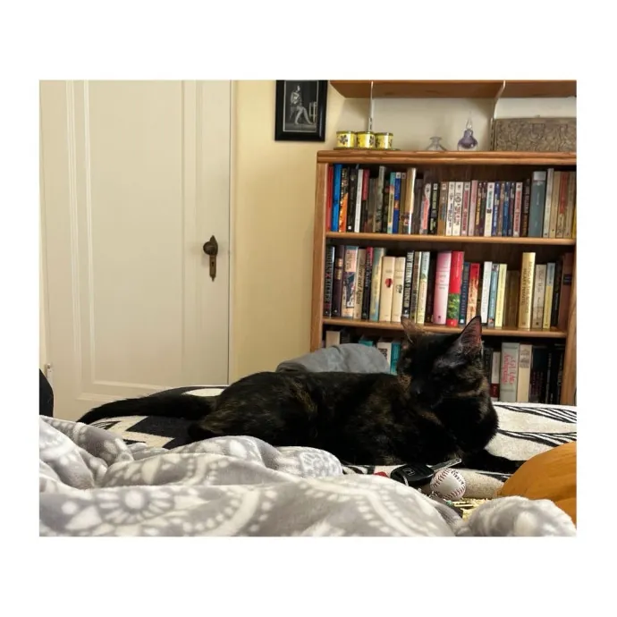 Traveling And Need A Long-Term Sitter
