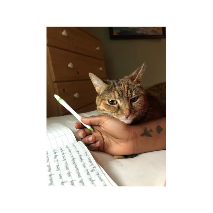 Traveling And Need A Long-Term Sitter