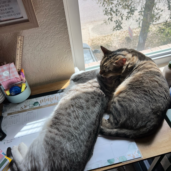 Purr And Play Co