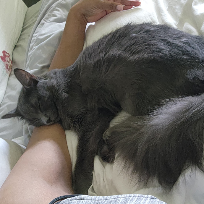 Meowmy Furrever 1St Time Client Coupons Available photo 2