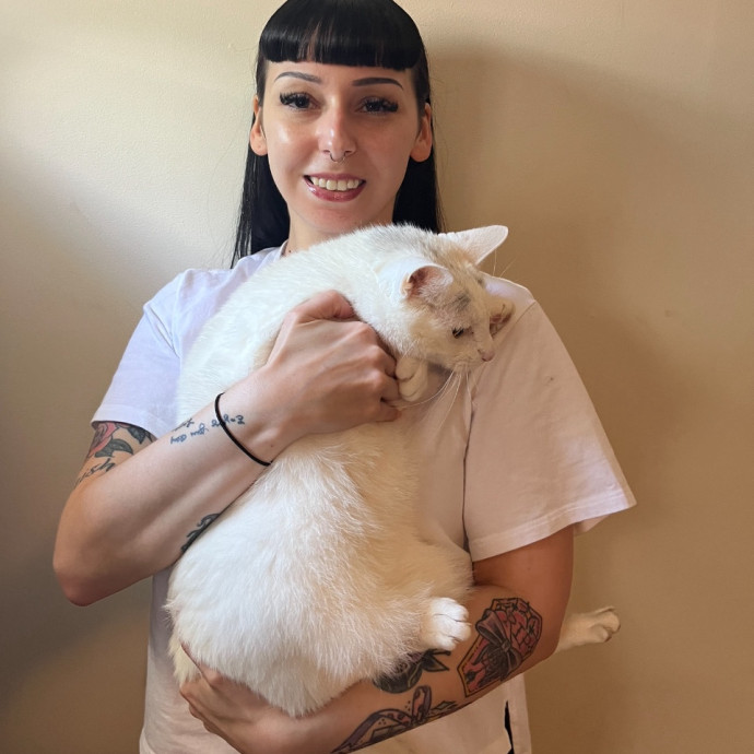 Cat Behaviorist Cat Sitter Cat Addict