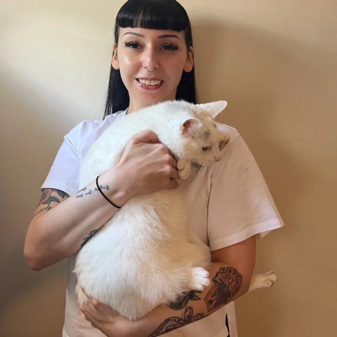 Cat Behaviorist Cat Sitter Cat Addict