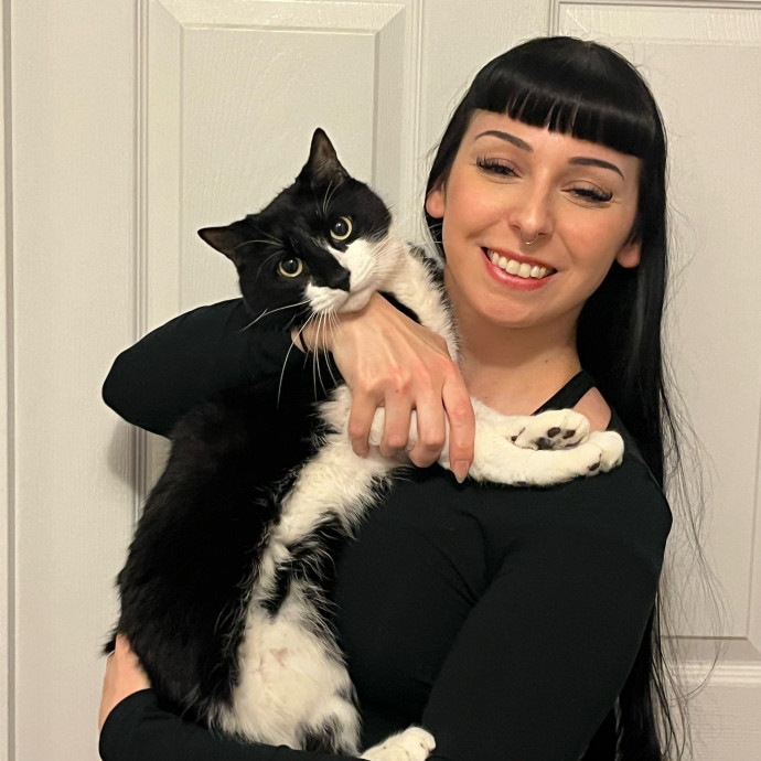 Cat Behaviorist Cat Sitter Cat Addict