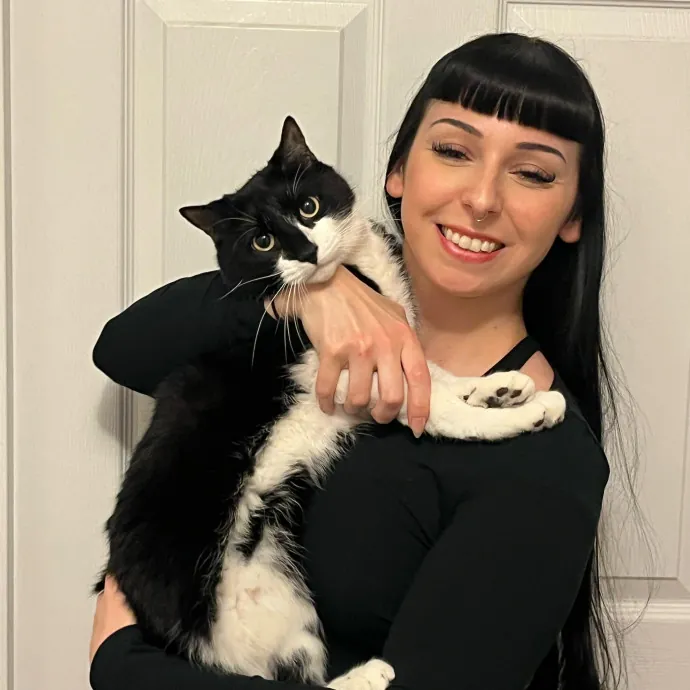 Cat Behaviorist Cat Sitter Cat Addict