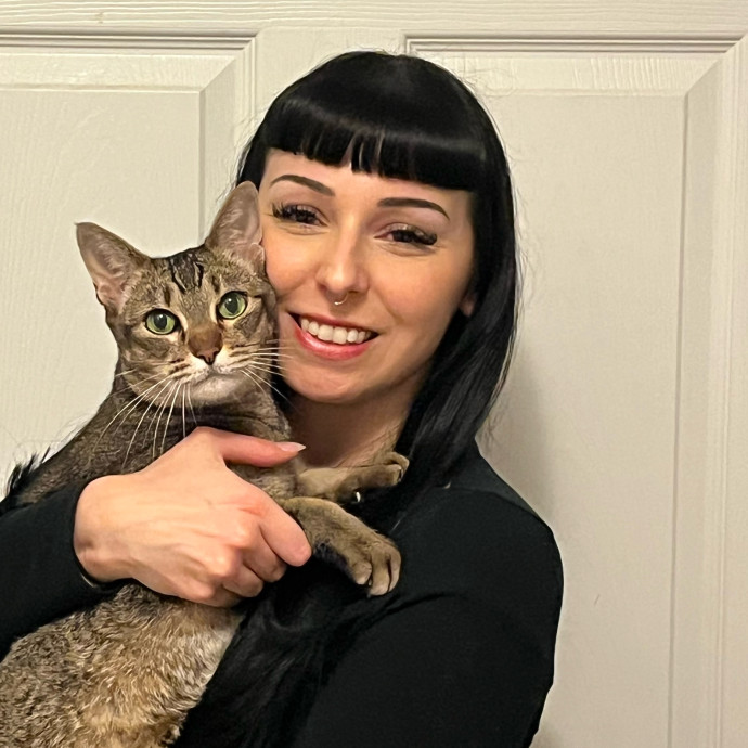 Cat Behaviorist Cat Sitter Cat Addict