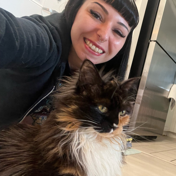 Cat Behaviorist Cat Sitter Cat Addict