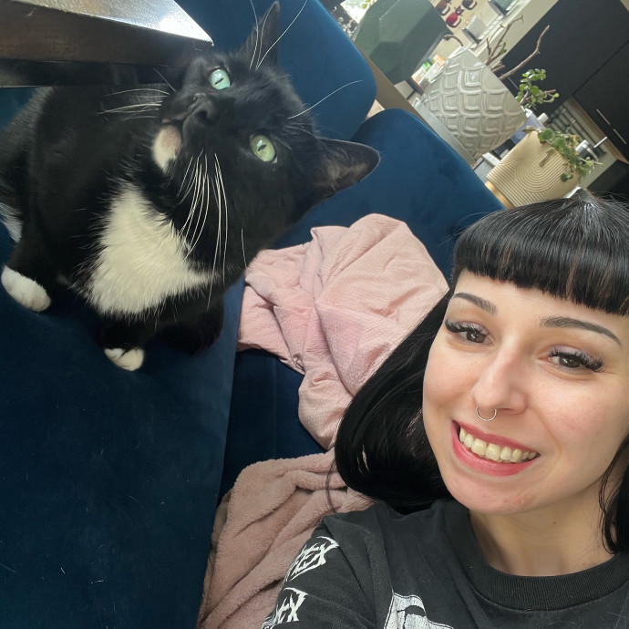 Cat Behaviorist Cat Sitter Cat Addict