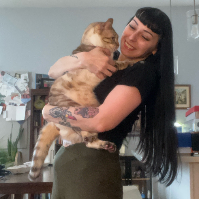 Cat Behaviorist Cat Sitter Cat Addict
