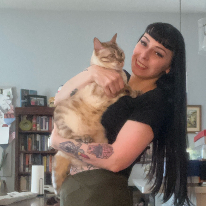 Cat Behaviorist Cat Sitter Cat Addict