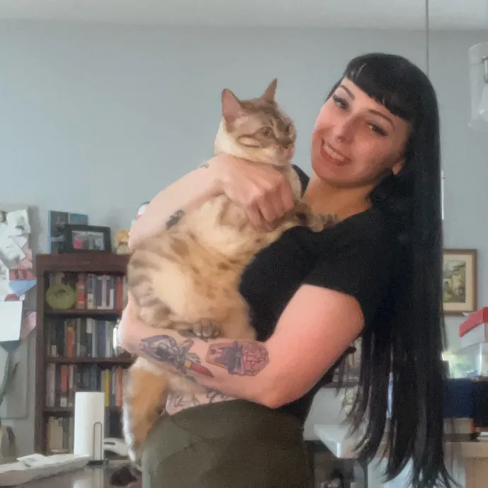 Cat Behaviorist Cat Sitter Cat Addict