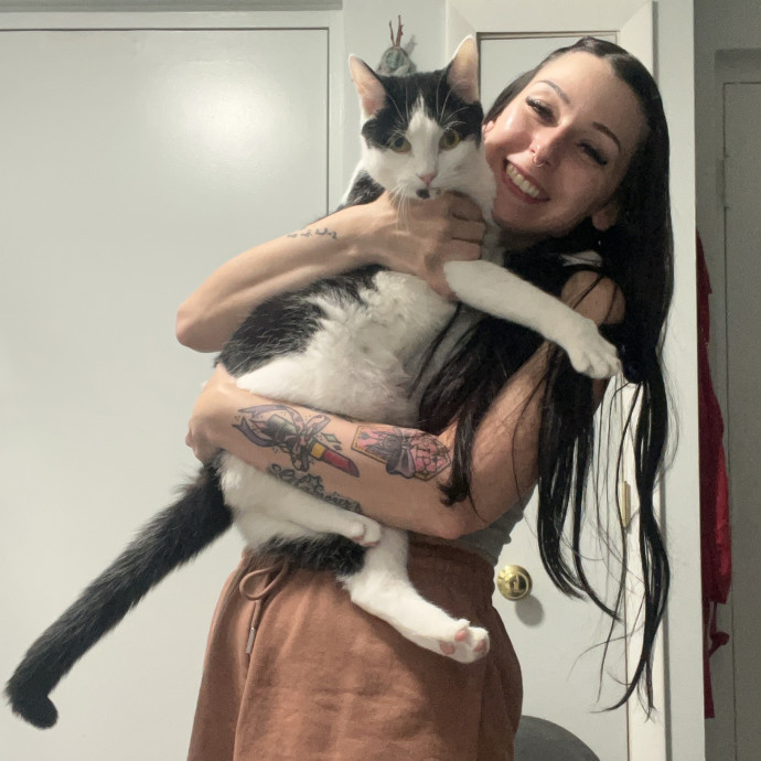 Cat Behaviorist Cat Sitter Cat Addict