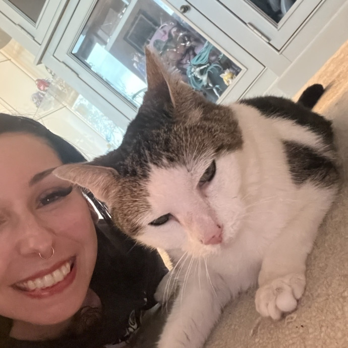 Cat Behaviorist Cat Sitter Cat Addict