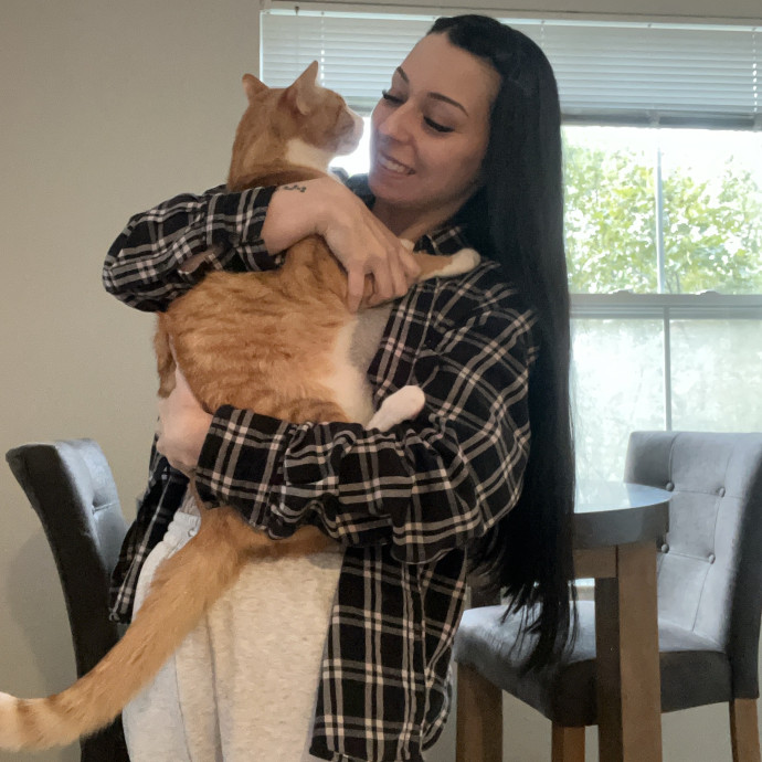 Cat Behaviorist Cat Sitter Cat Addict