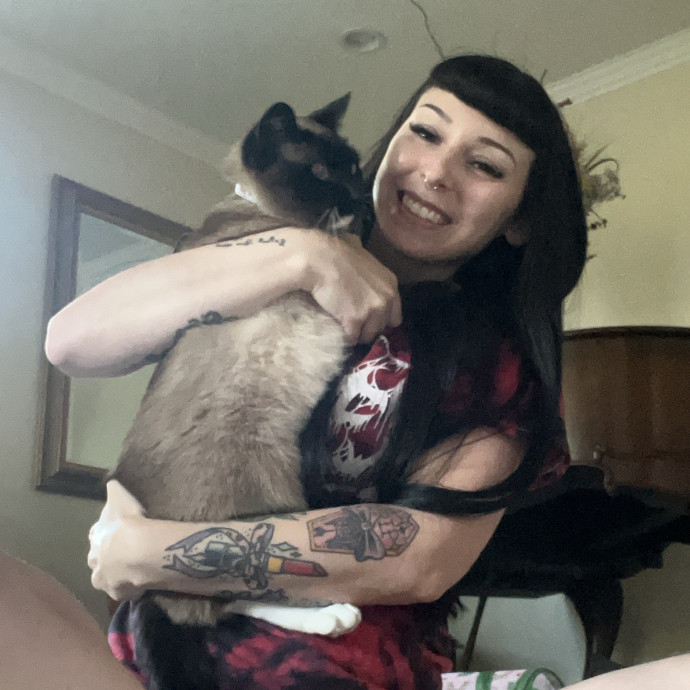 Cat Behaviorist Cat Sitter Cat Addict