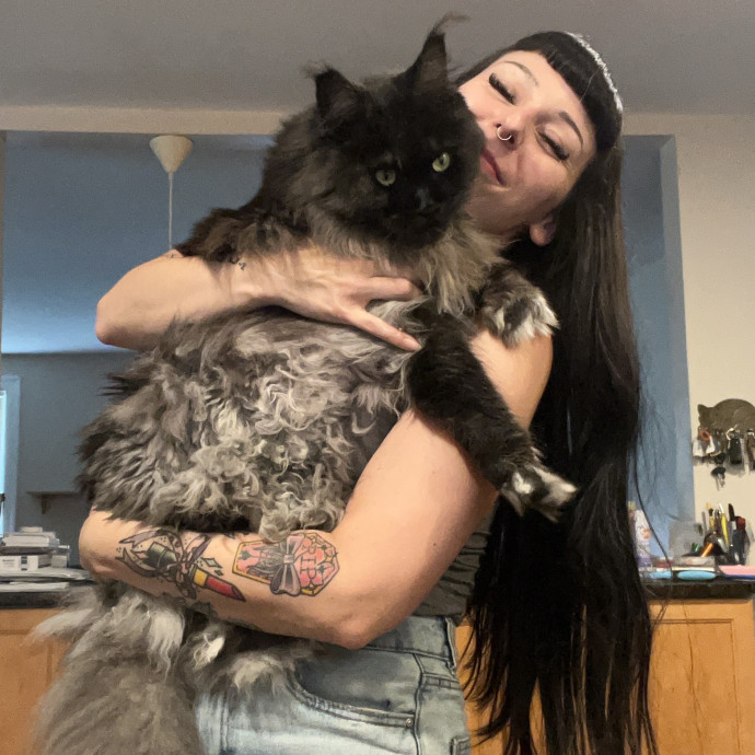 Cat Behaviorist Cat Sitter Cat Addict