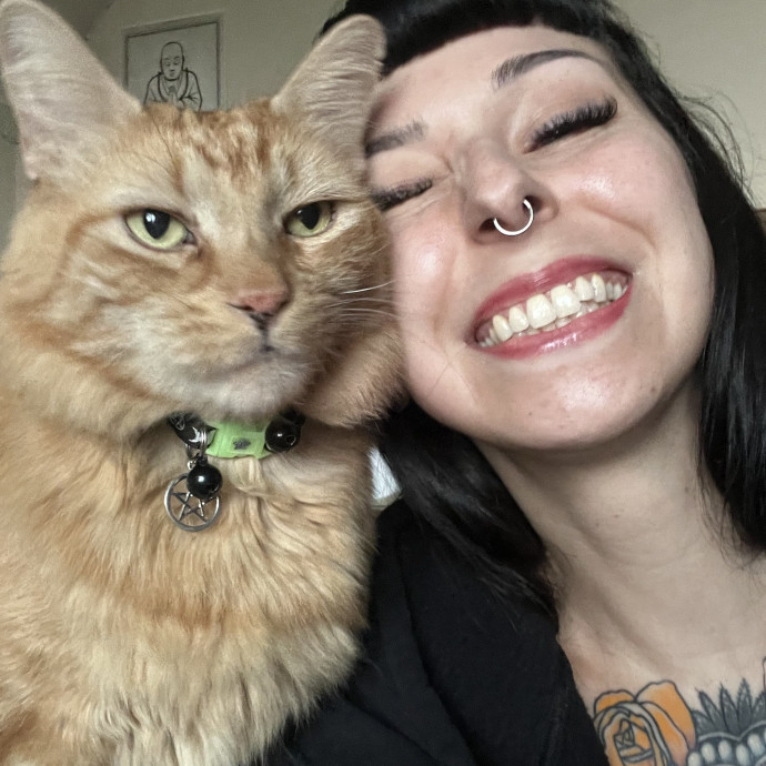 Cat Behaviorist Cat Sitter Cat Addict