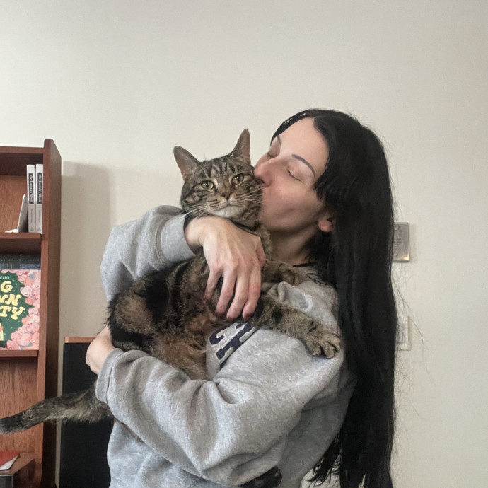 Cat Behaviorist Cat Sitter Cat Addict