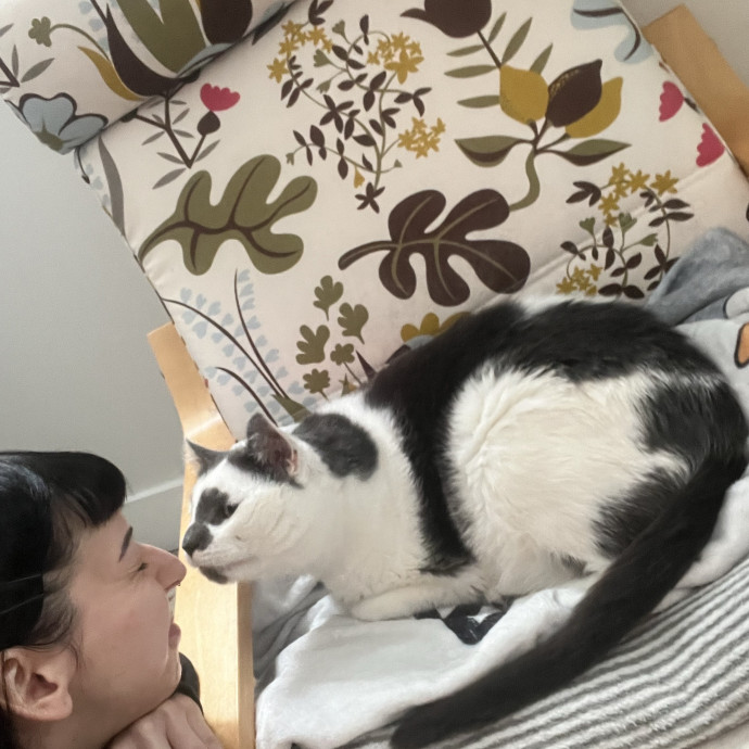 Cat Behaviorist Cat Sitter Cat Addict