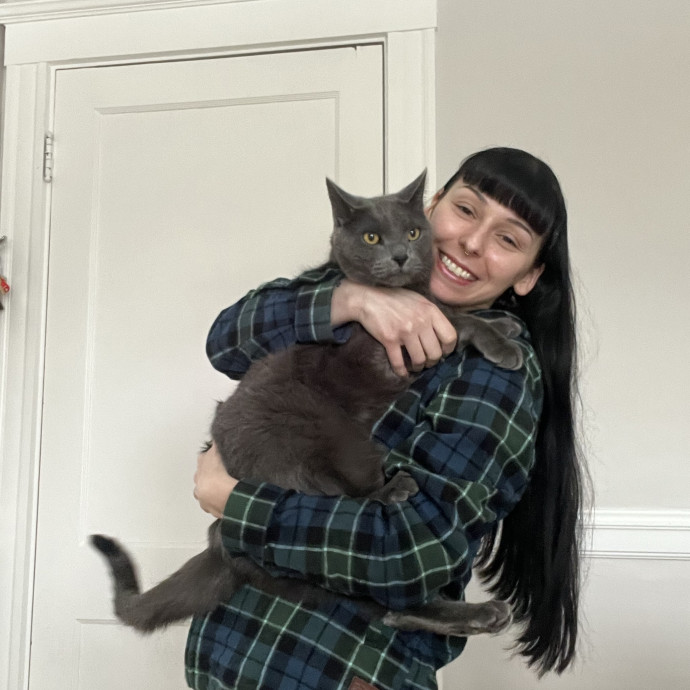 Cat Behaviorist Cat Sitter Cat Addict
