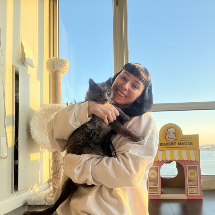 Cat Behaviorist Cat Sitter Cat Addict