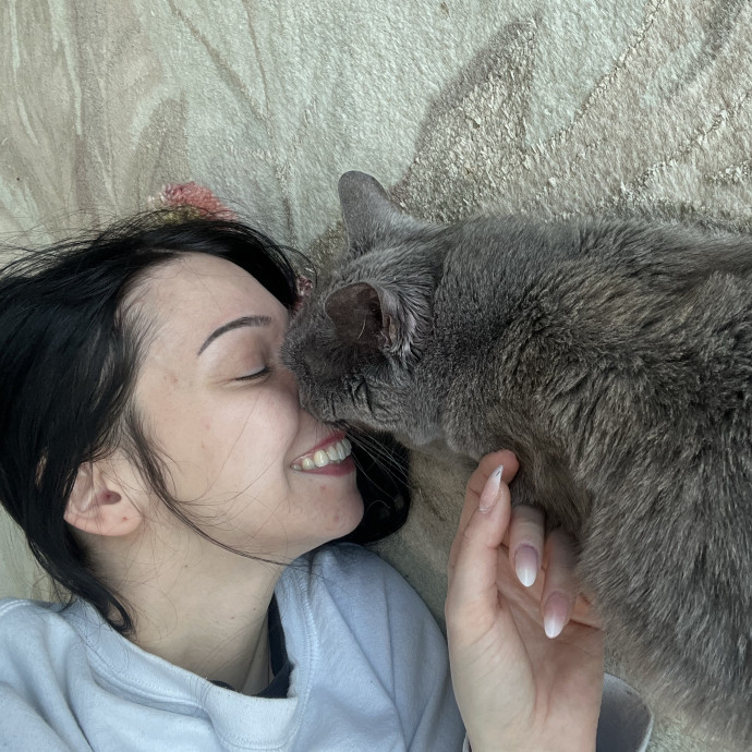 Cat Behaviorist Cat Sitter Cat Addict